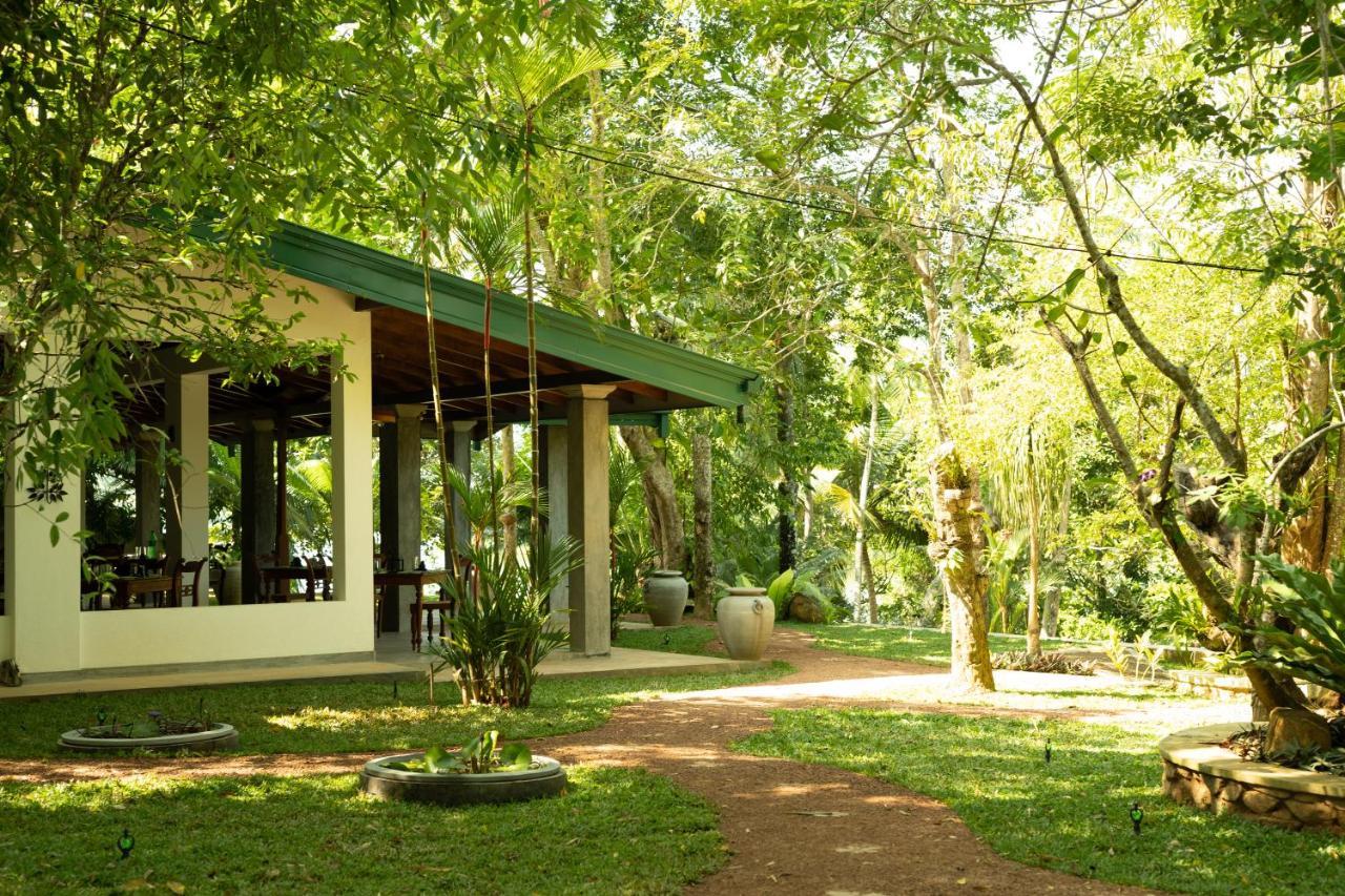 Villa Birdlake Хіккадува Екстер'єр фото