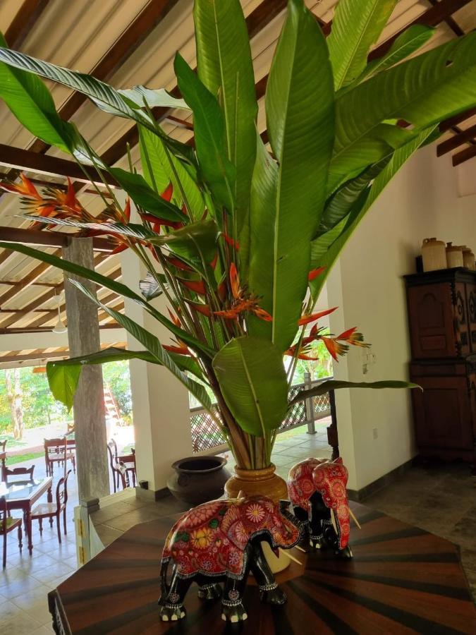 Villa Birdlake Хіккадува Екстер'єр фото