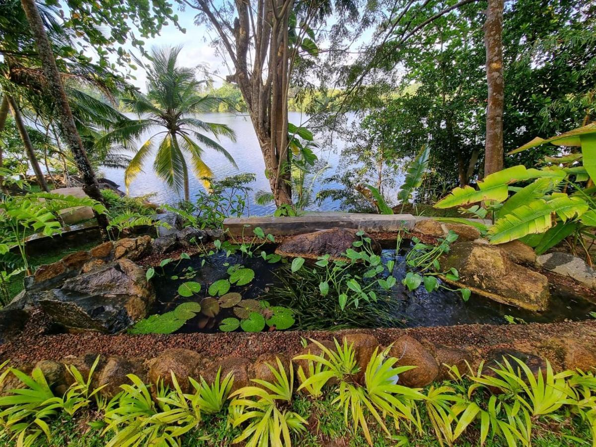 Villa Birdlake Хіккадува Екстер'єр фото