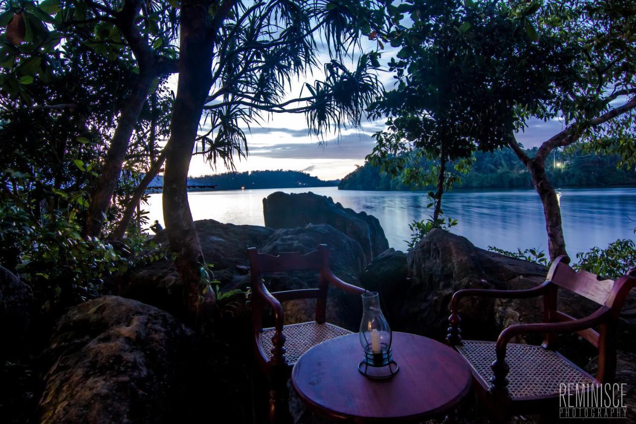 Villa Birdlake Хіккадува Екстер'єр фото